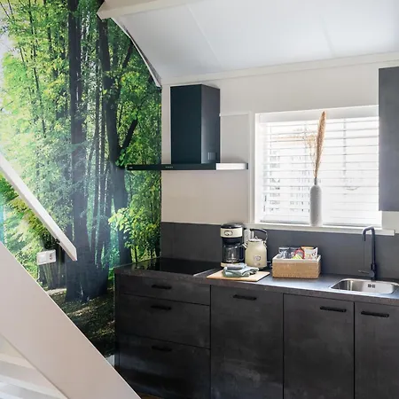 Holiday home Lush With Sauna And Hot Tub Hattemerbroek