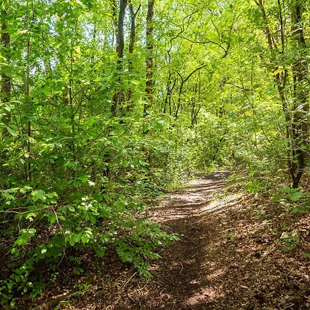 Cozy W Sauna And Bbq Holiday home *