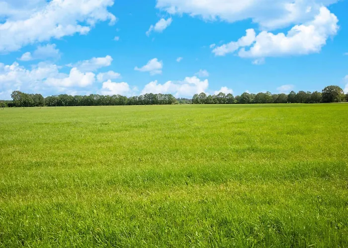 度假居 Cozy W Sauna And Bbq *