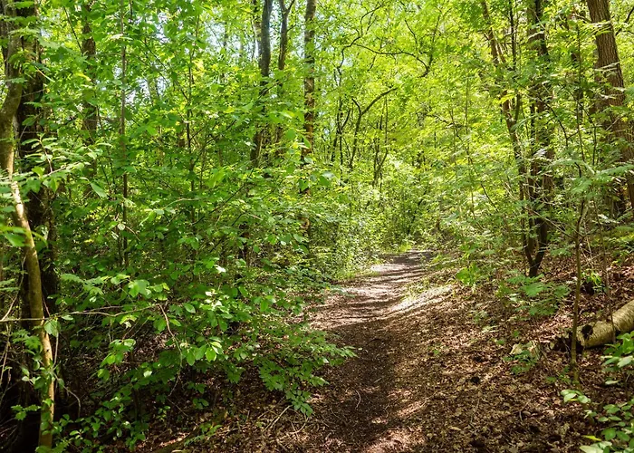 Cozy W Sauna And Bbq Casa vacanze *