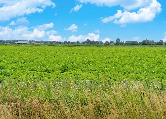 Cozy W Sauna And Bbq * Hattemerbroek