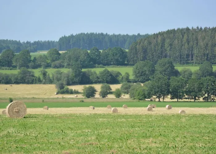 Cozy W Sauna And Bbq Hattemerbroek